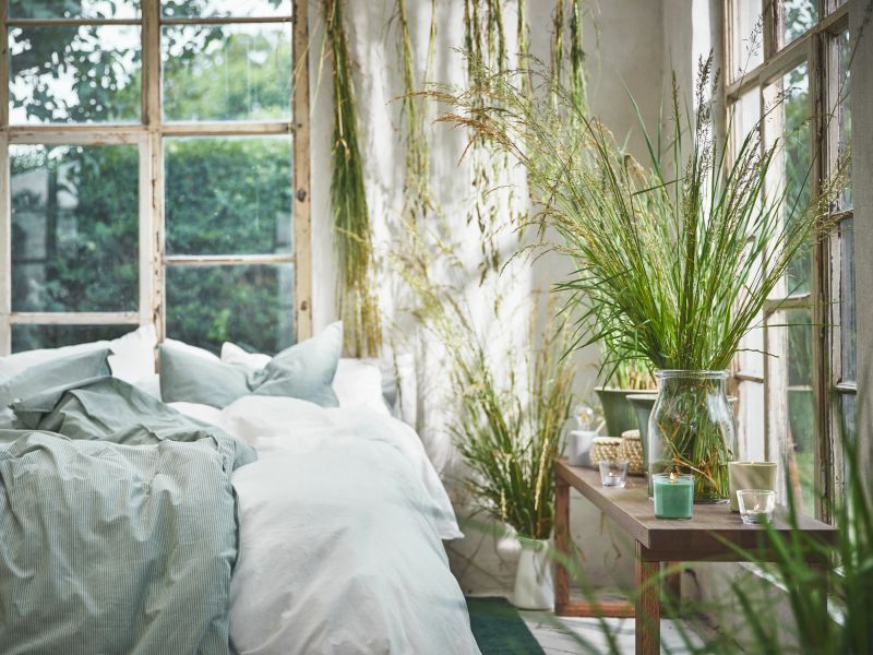 Lorem 6 ipsum dolor sit amet sit amet